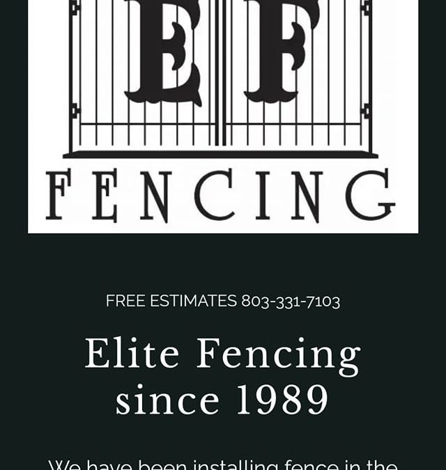 Elite Fencing